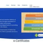 e District Odisha Portal