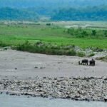 Baksa District Assam