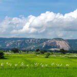 Jashpur District Chhattisgarh