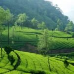 Munnar District Kerala
