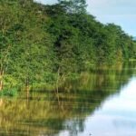 Nagaon District Central Assam