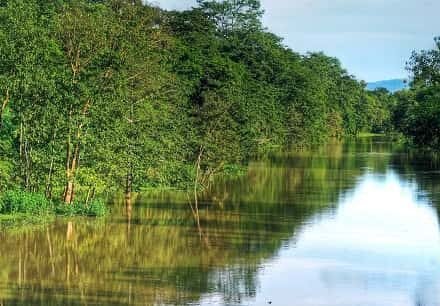 Nagaon District Central Assam
