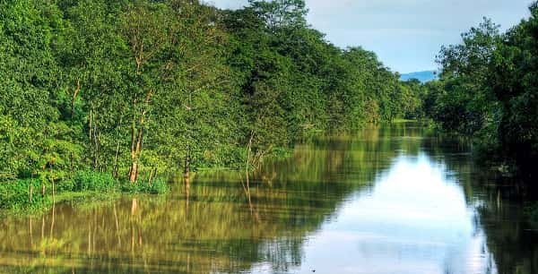 Nagaon District Central Assam