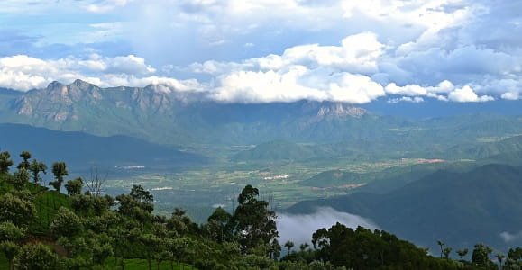 Nilgiris District