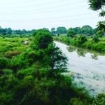 Bhadohi District Uttar Pradesh