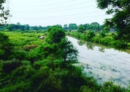 Bhadohi District Uttar Pradesh