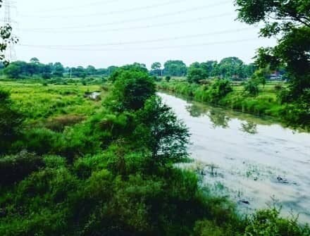 Bhadohi District Uttar Pradesh